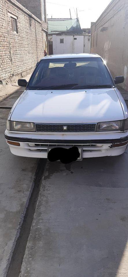 موتر1991