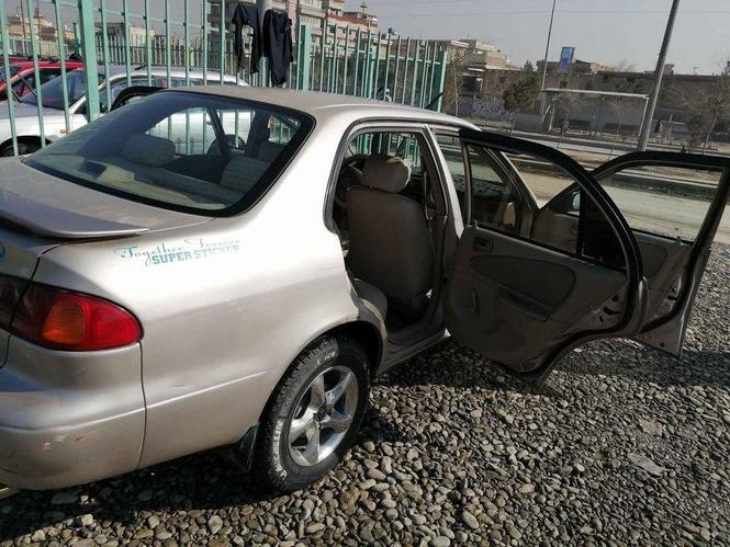 کرولاتو