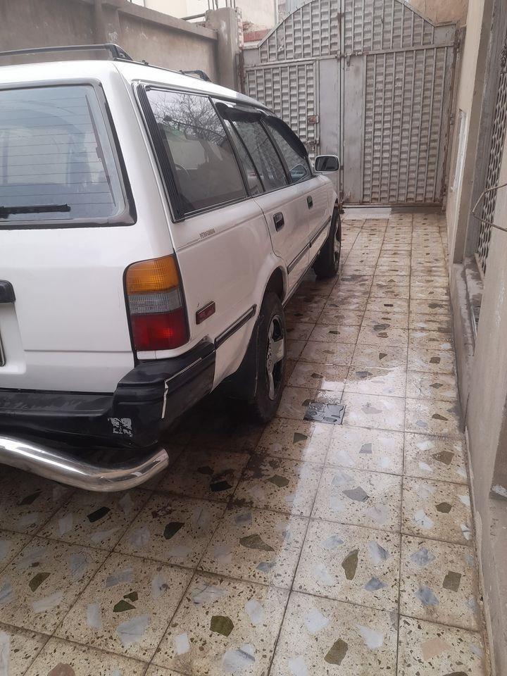 -کانادایی-
