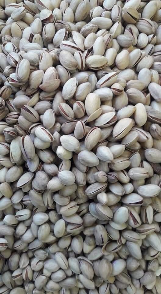 پسته-با-کیفیت