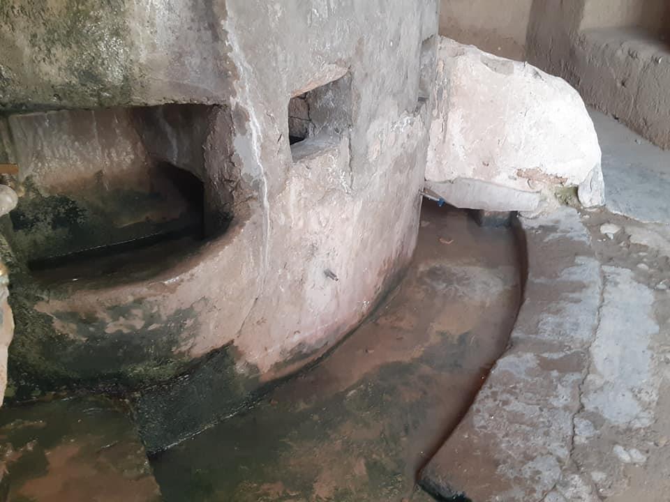 سلامونه