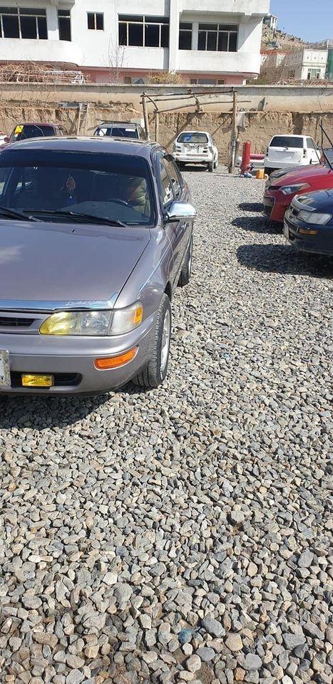 Corolla