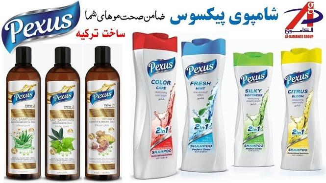 Pexus Shampoo ( Made in Turkey ) شامپوی پیکسوس سا