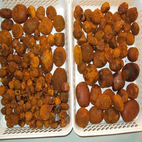 Cow/ Ox Gallstones available