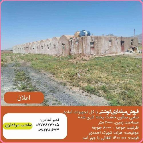 فروش عاجل مرغداری