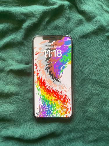 iPhone X