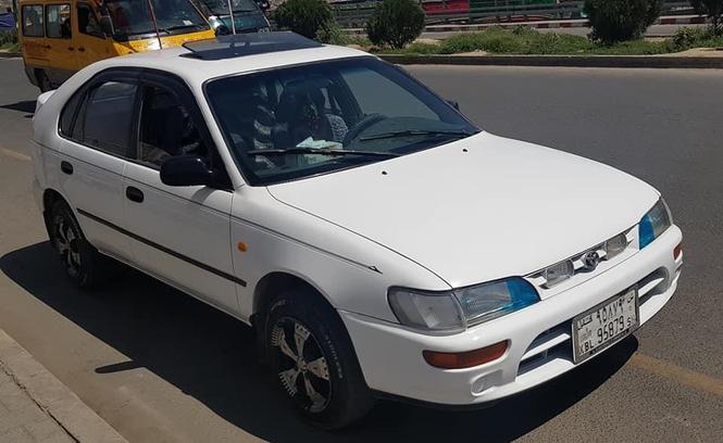 کمپک برای فروش و مالچه
