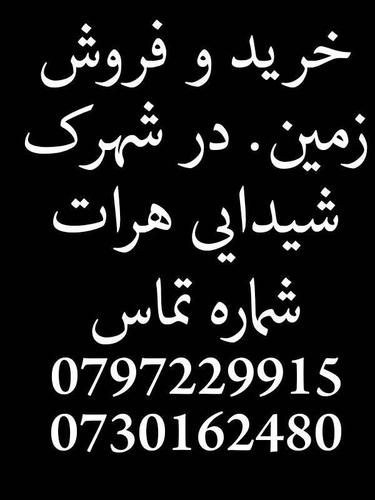 ﺧﺮﯾﺪ و ﻓﺮوش زﻣﯿﻦ. در ﺷﻬﺮک ﺷﯿﺪاﯾﯽ ﻫﺮات ﺷﻤﺎره ﺗﻤﺎس 0797229915