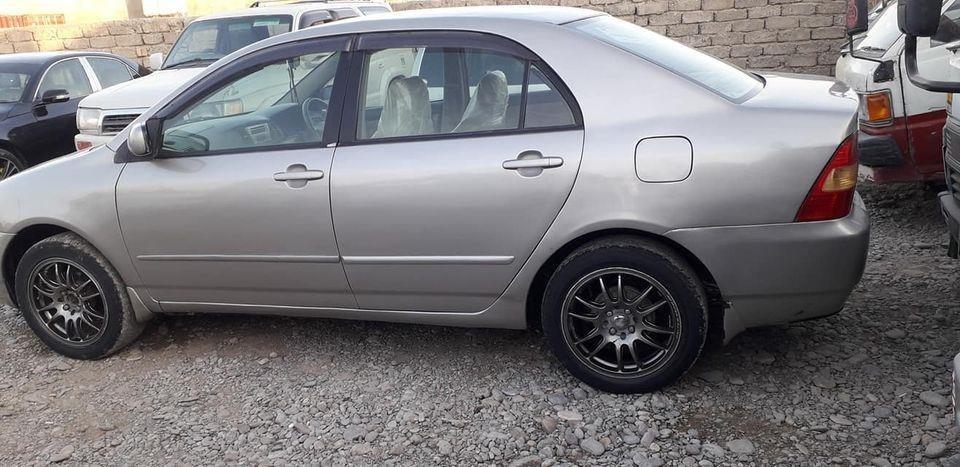 لوکسل2000روغه