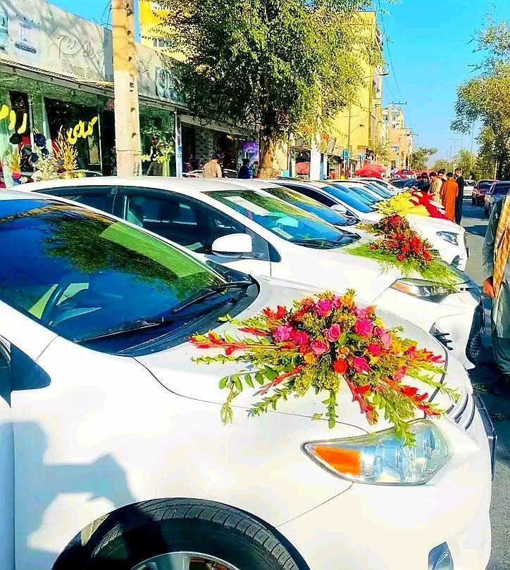 موتر-های--کرائی-گل-پوش----