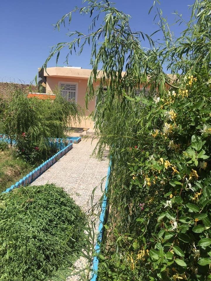 باغچه-فروشی