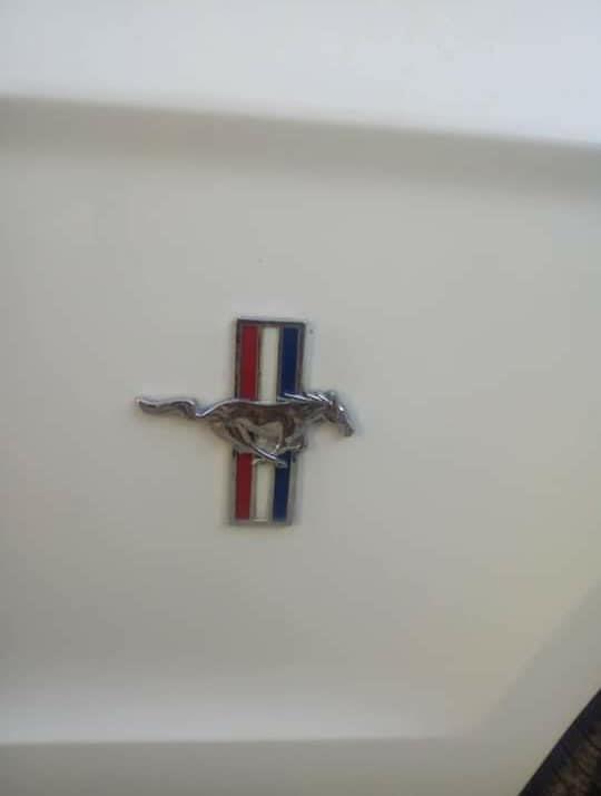Ford-Mustang-2012--2011