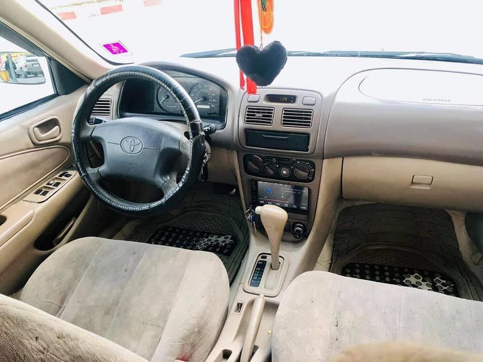 فروش-و-مالچه-0787469061
