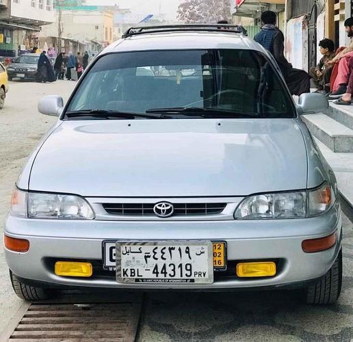 فروش سراچه کانادایی