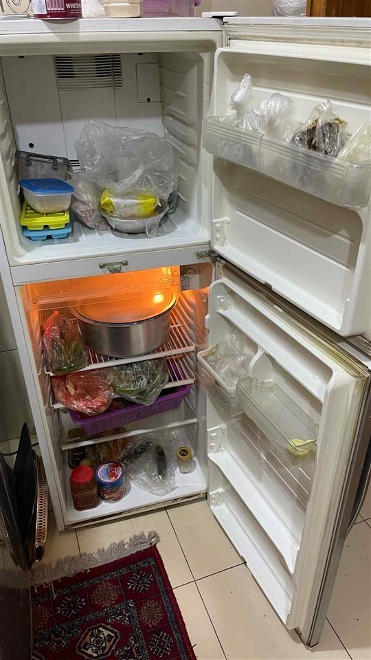 Sharp-Fridge