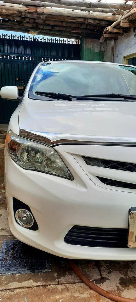 -فروش-و-مالچه
