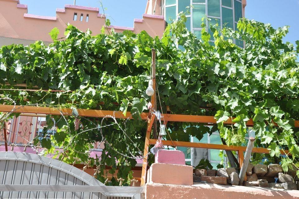 خانه-برای-فروش-0777502047