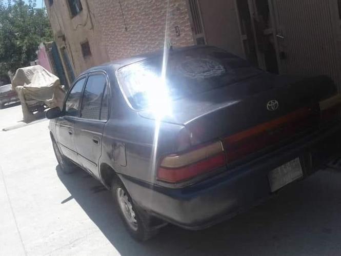 فروش و مالچه 0787824681