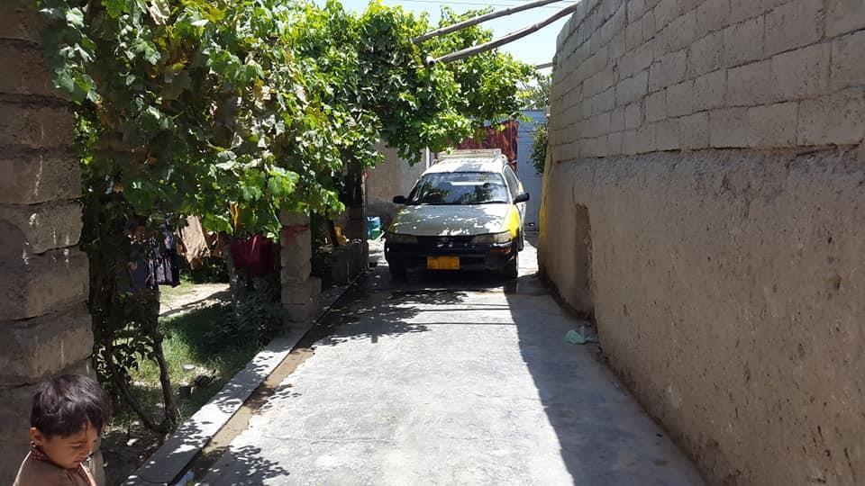 دخرڅ-ارزانه-کور