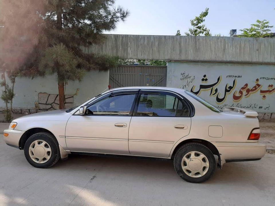-کرولای-کانادایی-