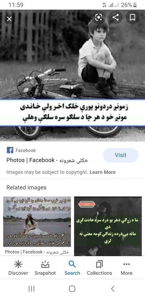 تشک-های-برقی-ترکی