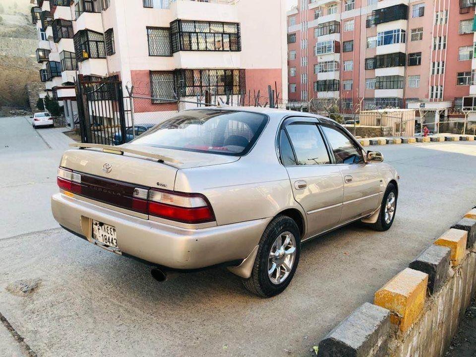 فروش-و-مالچه-0784059050