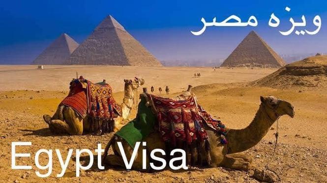 ويزه مصر