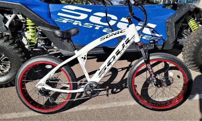 Electric Bike 1000W 48V 26 Fat Tire Ebike Soul Beach Cruiser