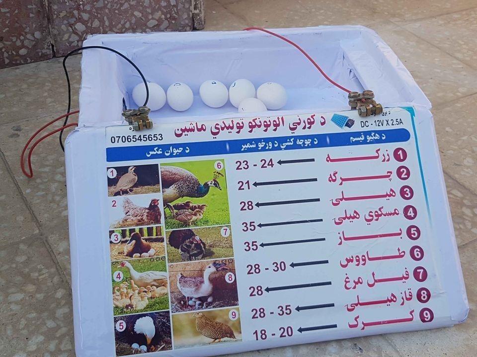 چوچه-ګیری-ماشین-0706545653