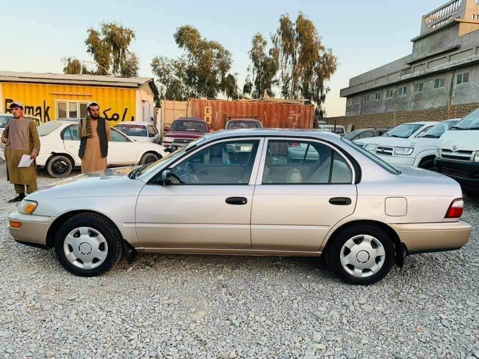 ---شمیره-0704974244---