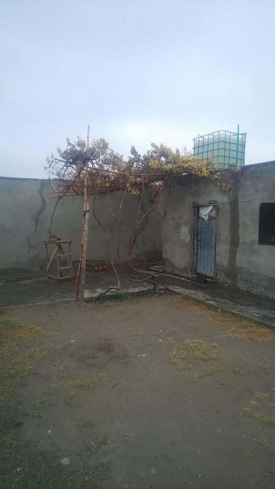 يوعددسراي