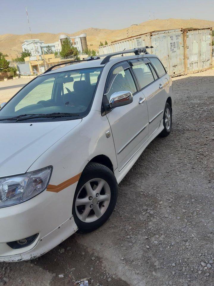 2005بدون-کات
