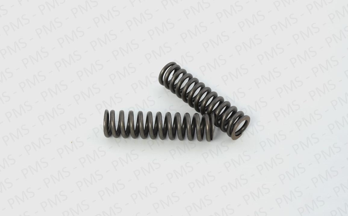 Carraro-Spring-Types--Oem-Parts