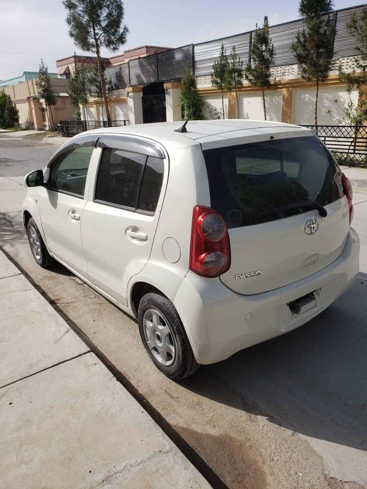 پاسو-ویش-کاټ-2010