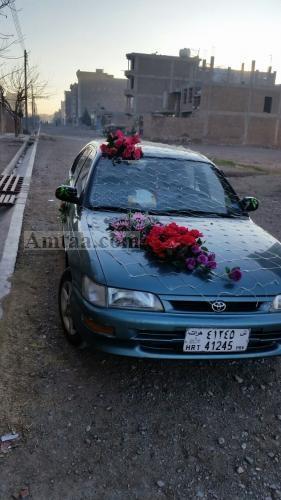 شهر هرات ناحیه 9 جبرئیل