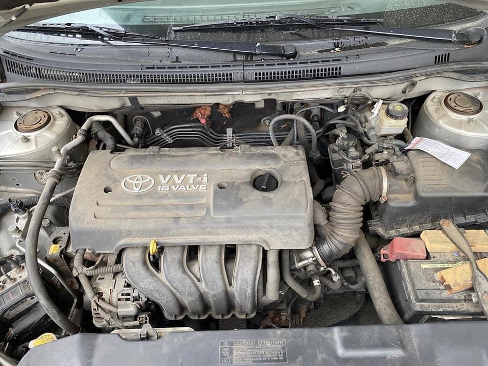 0700303566