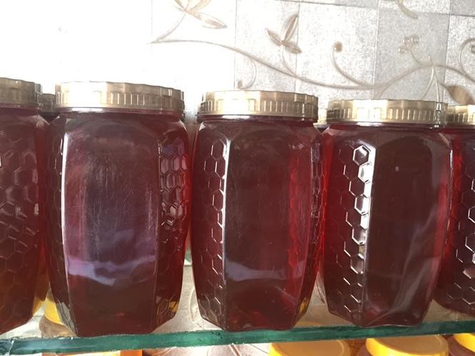 عسل بيره براي فروش