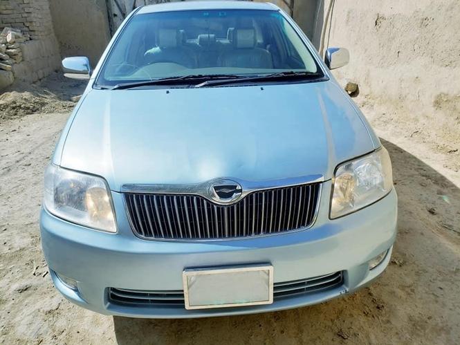 2005 لوکسل روغ