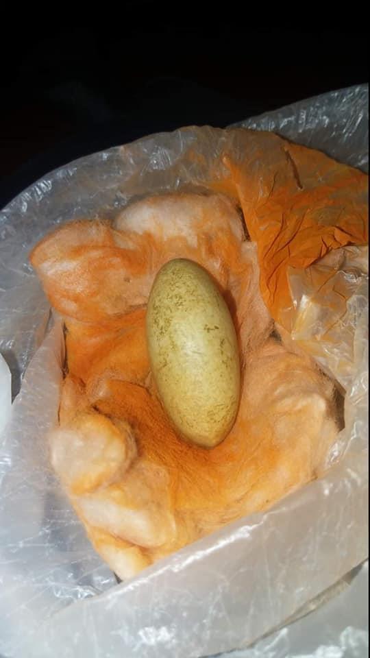 خر-مهره-اصلی-هندی