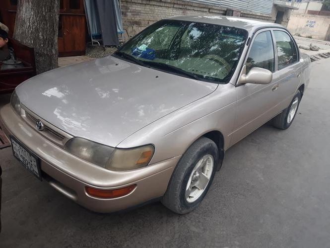 کرولای کانادایی
