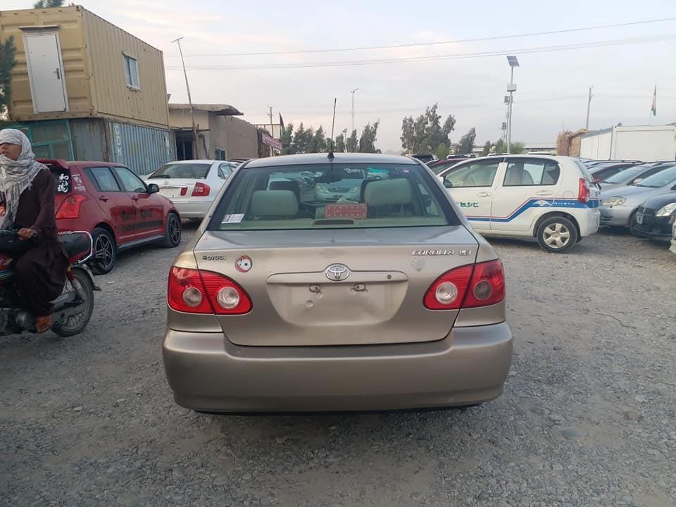 کاناډایی-ټوډی