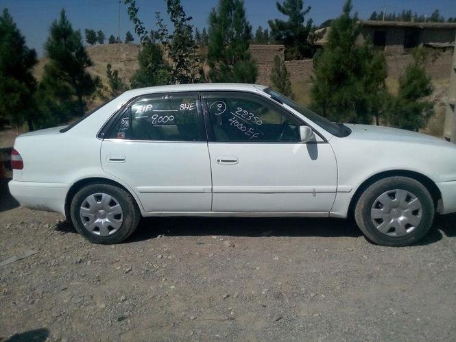 شیپ خوستی