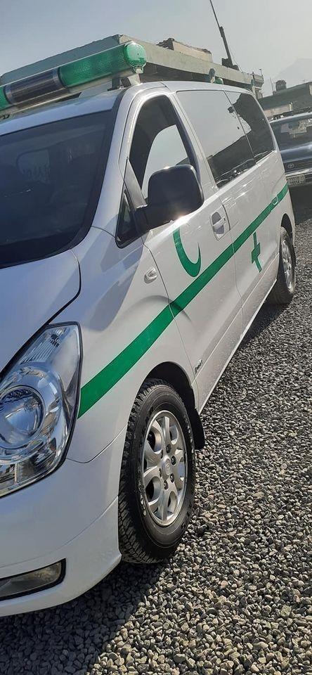 مودل-2008-مالچه