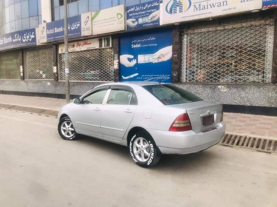 فروش-و-مالچه-0787469061