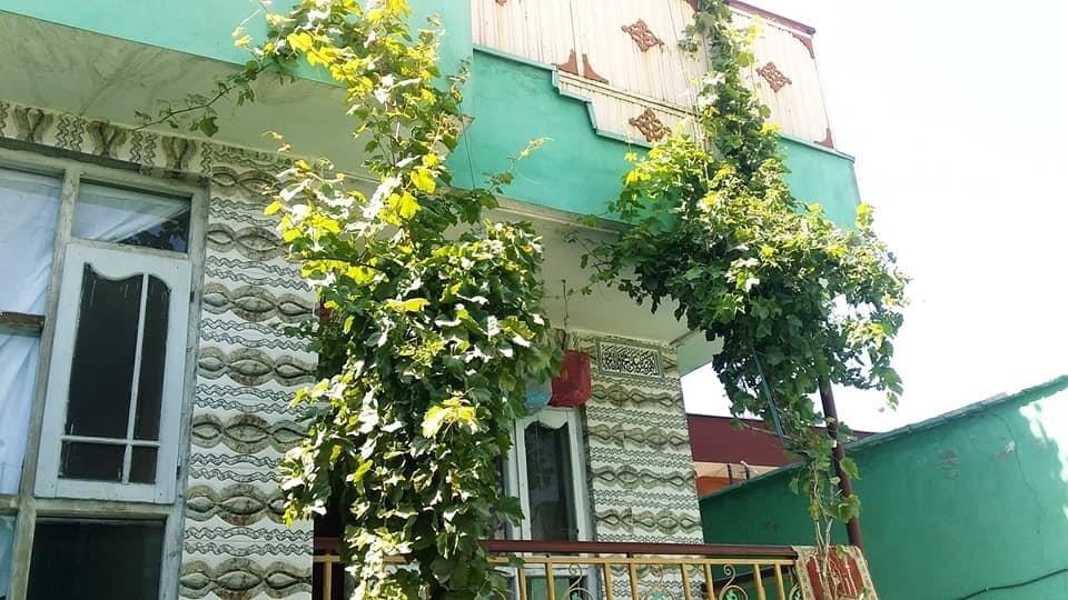 دارلامان