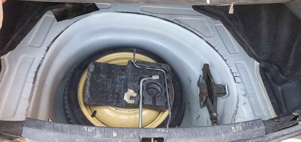 کورنی-ایگزیو-روکسل-روغ