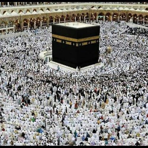 خدمات حج فرضی