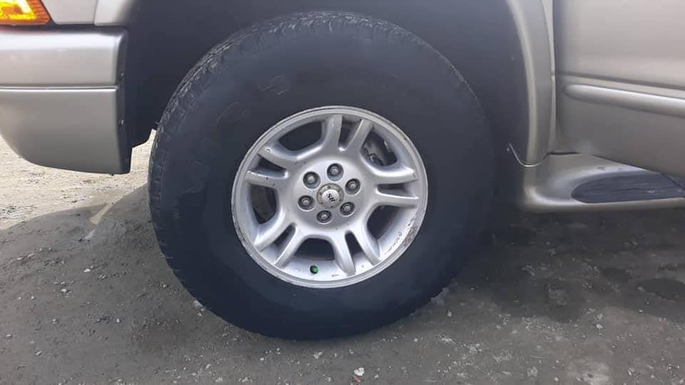 موتر-داچ-امریکایی