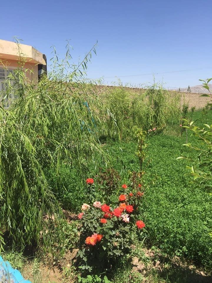 باغچه-فروشی