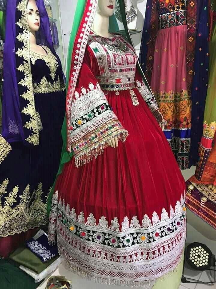 گندهای-افغانی-کوچی